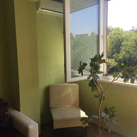 Stelina סופיה